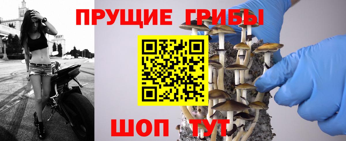магазин продажи   Галлюциногенные грибы Psilocybine cubensis  Вход с VPN  Кимовск 